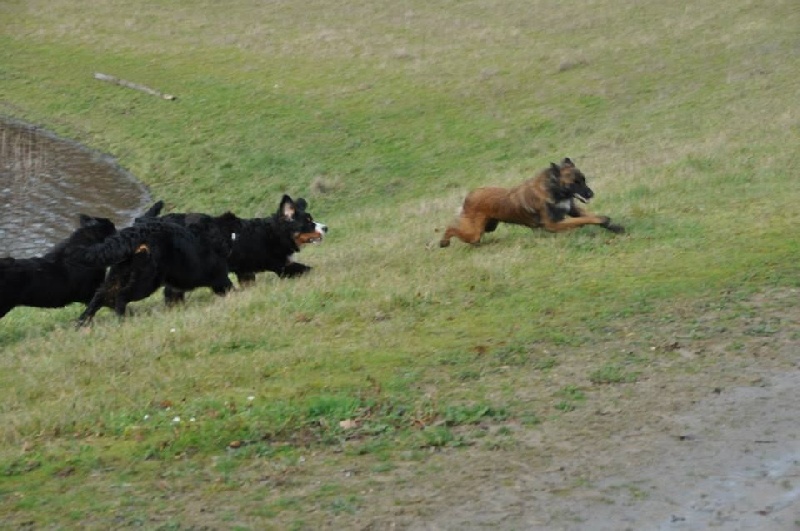 Ballade du 14/01/2014